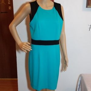 THE LIMITED MINT GREEN/BLACK OVER THE KNEE DRESS 6